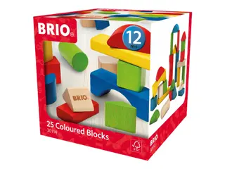 Produktfoto för BRIO 30114 Colored building blocks (25 pcs)
