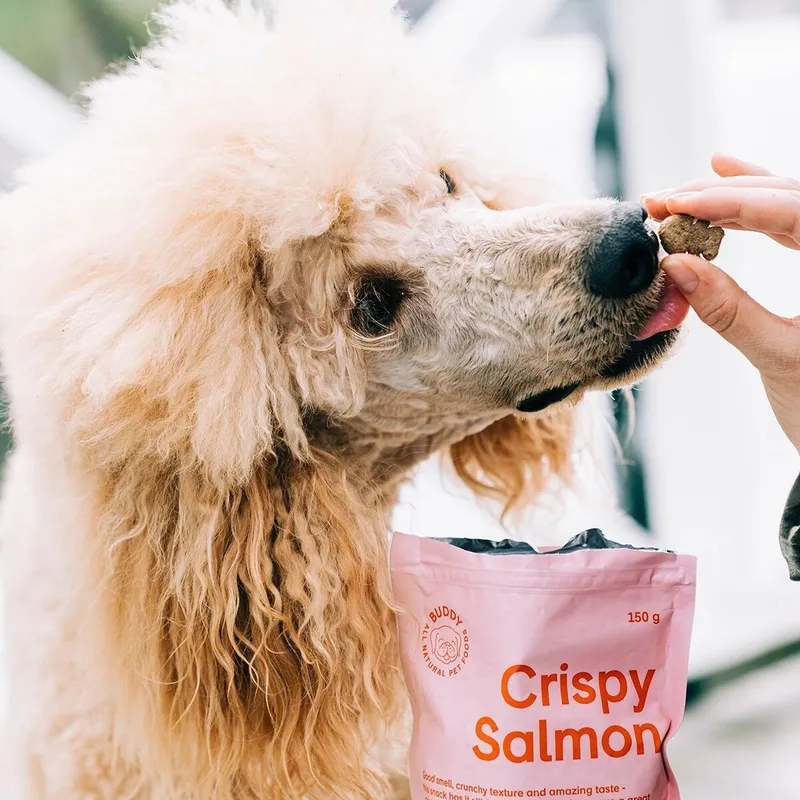 Bild 2 för Buddy Petfoods Crispy Salmon Hundgodis 150 g