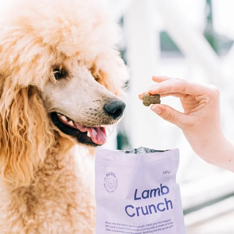 Bild 2 för Buddy Petfoods Lamb Crunch Dog Hundgodis 150 g