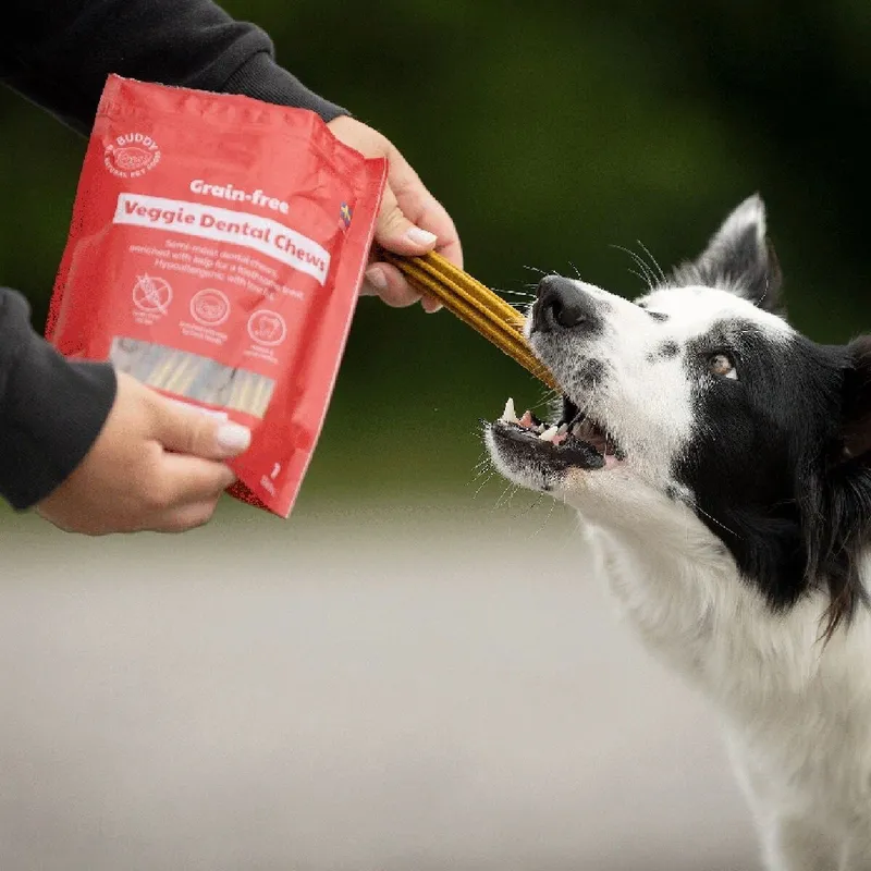 Bild 2 för Buddy Spannmålsfri Vegetariskt Dentaltugg M