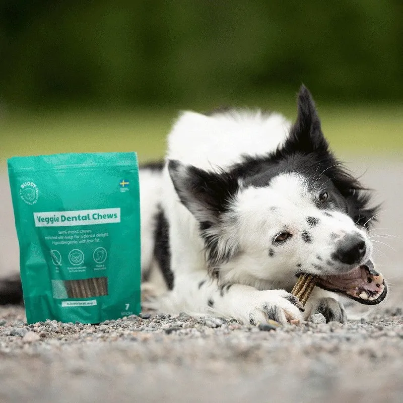 Bild 2 för Buddy Vegetariskt Dentaltugg M