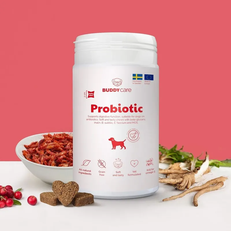 Bild 2 för BuddyCare Probiotic 150 g