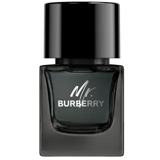 Produktfoto för Burberry Mr Burberry Eau De Parfum  50 ml