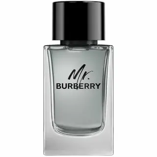 Produktfoto för Burberry Mr Burberry Eau De Toilette 100 ml