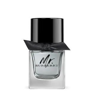 Produktfoto för Burberry Mr. Burberry edt 50ml