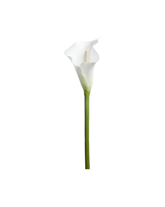 Bild 1 för Calla Vit 80cm, Konstgjord
