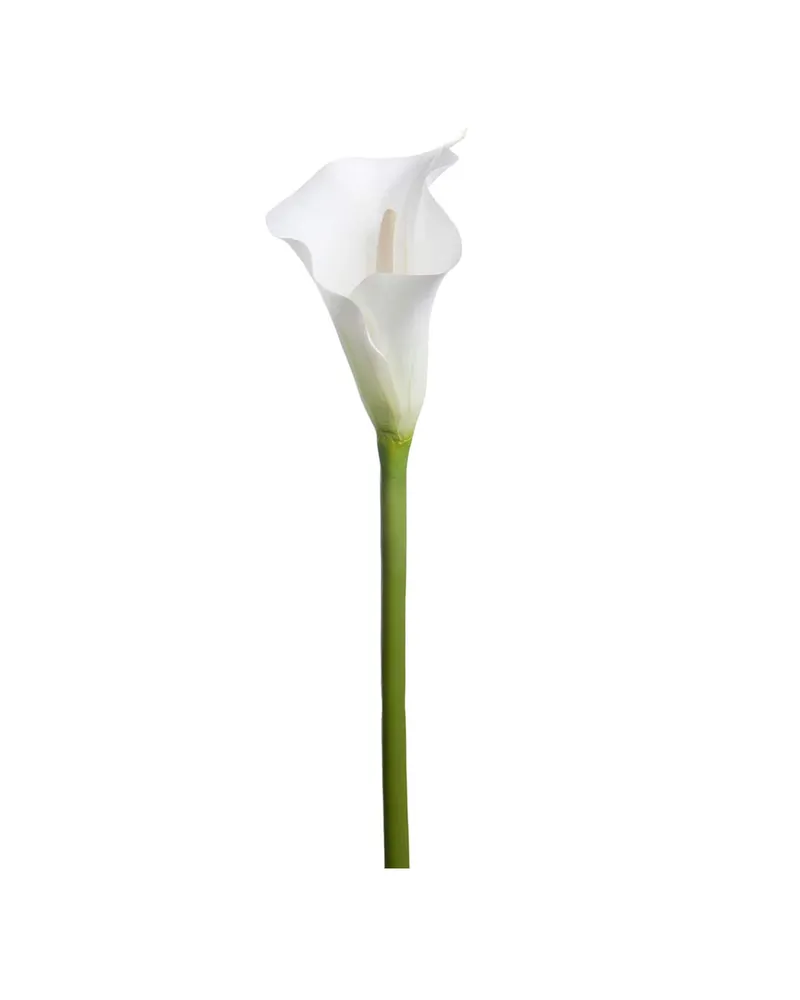 Bild 2 för Calla Vit 80cm, Konstgjord