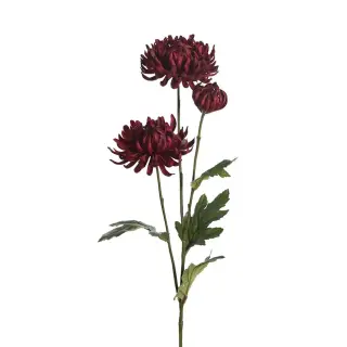 Produktfoto för Chrysanthemum snittblomma röd