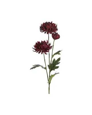Produktfoto för Chrysanthemum snittblomma röd