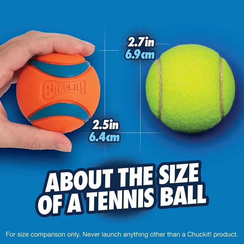 Bild 2 för CHUCKIT ULTRA BALL 2-PK MEDIUM