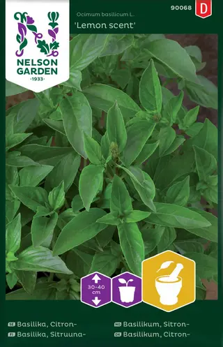 Produktfoto för Citronbasilika 'Lemon scent'