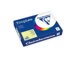 Produktfoto för Clairefontaine Kopieringspapper A4 120g ohålat citrongul