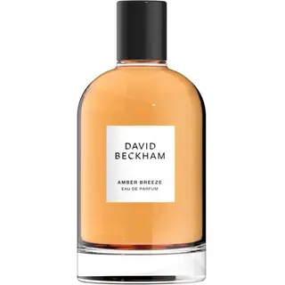 Produktfoto för David Beckham Amber Breeze Edp 50ml