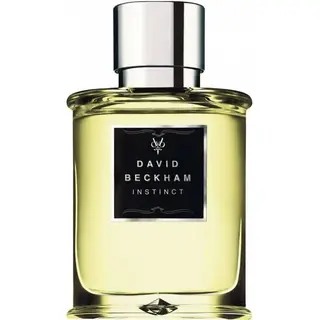 Produktfoto för David Beckham Instinct EDT  75 ml