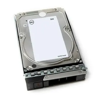 Produktfoto för Dell - Customer Kit - hard drive - 12 TB - SAS 12Gb/s - 12TB - Hårddisk - 161-BCJX - Serial Attached SCSI 3 - 3,5"