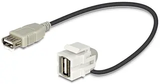 Produktfoto för Delock - Modulär insättning - USB Type A