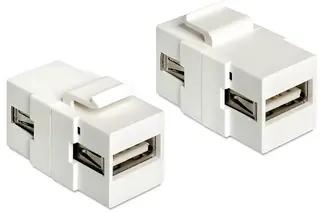 Produktfoto för Delock - Modulär insats (koppling) - USB Type A