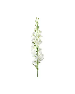 Produktfoto för Delphinium snittblomma vit