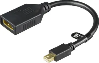 Produktfoto för DELTACO MDP-DP1 - DisplayPort-adapter - Mini DisplayPort (hane) till DisplayPort (hona) - 15 cm - svart