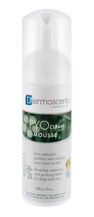 Produktfoto för Dermoscent PYOclean Mousse 150 ml