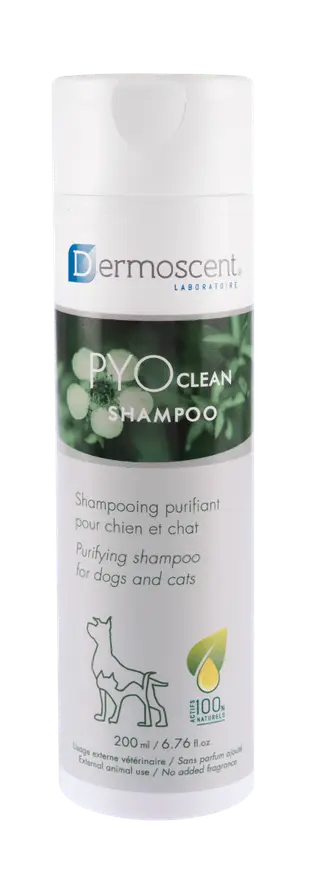 Produktfoto för Dermoscent PYOclean Shampoo 200 ml