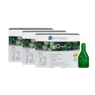 Produktfoto för Dermoscent PYOspot för hundar 10-20 kg 4 x 1,2 ml