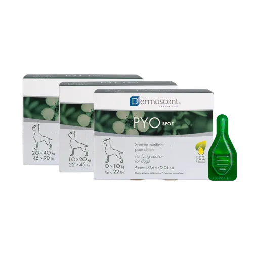 Alternativ bild 0 för Dermoscent PYOspot för hundar 10-20 kg 4 x 1,2 ml