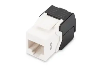 Produktfoto för DIGITUS DN-93502 - Modulär insättning - CAT 5e - UTP - RJ-45