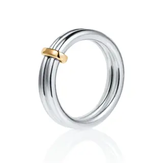 Produktfoto för Divorced With Children Thin Ring Silver 15.00