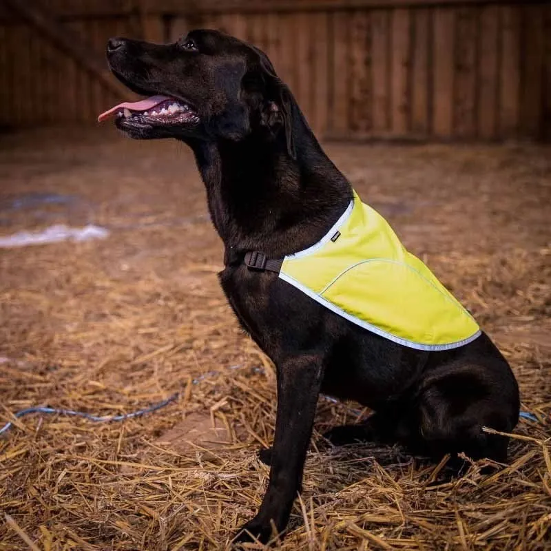 Bild 2 för Dogman Ref väst Rex gul XXXL