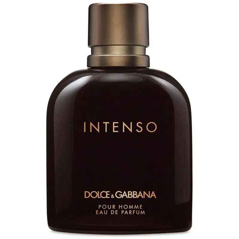 Alternativ bild 0 för Dolce & Gabbana Intenso Pour Homme edp 125ml