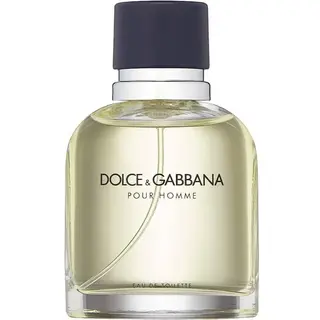 Produktfoto för Dolce & Gabbana Pour Homme EDT 75 ml