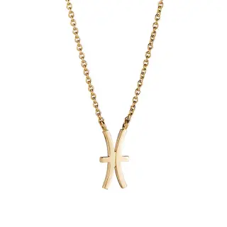 Produktfoto för Double Trouble Halsband 40-45 cm Guld