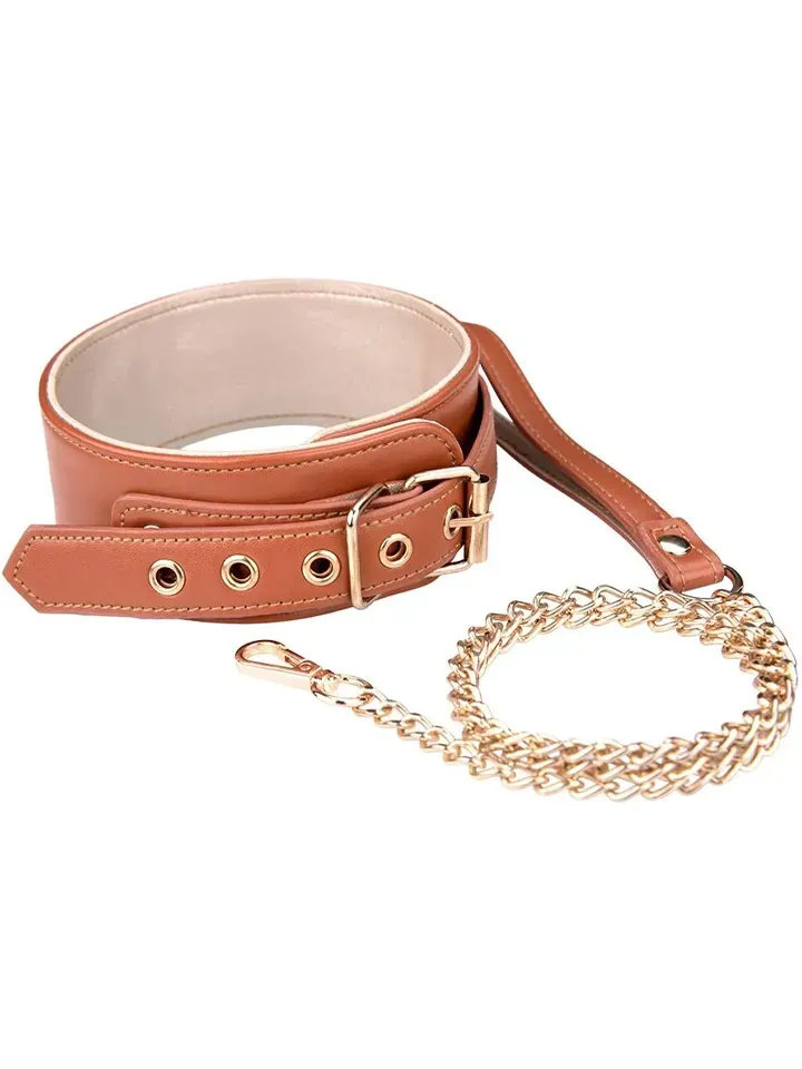 Bild 1 för Dream Toys: Blaze, Elite Collar and Leash