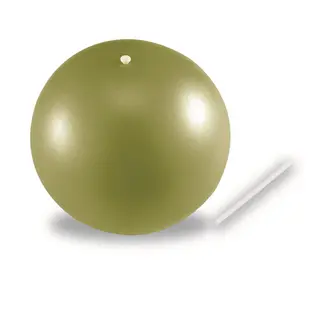 Produktfoto för Ecobody Pilatesboll, Yogatillbehör