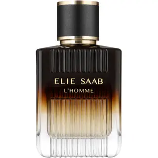 Produktfoto för Elie Saab L'Homme Eau De Parfum Intense 100ml