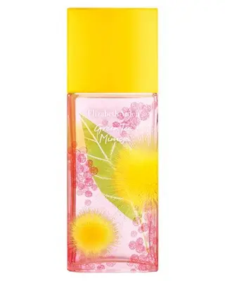 Produktfoto för Elizabeth Arden Green Tea Mimosa EDT 100 ml