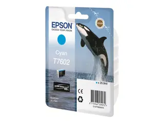 Produktfoto för Epson Bläckpatron C13T76024010 Cyan