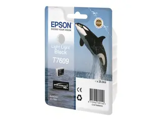 Produktfoto för Epson Bläckpatron C13T76094010 Light Sva