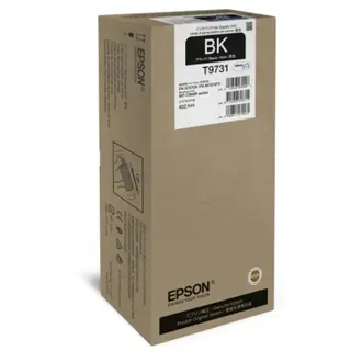 Produktfoto för Epson Bläckpatron C13T973100 Svart