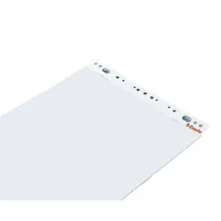 Produktfoto för Esselte Blädderblock olinjerat 59x80cm flerstansat 50 ark