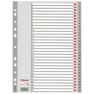 Produktfoto för Esselte index A4 1-31 plast grå (set)