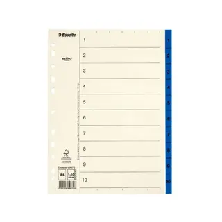 Produktfoto för Esselte Pappregister Servo A4 1-10 blå