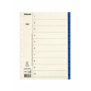 Produktfoto för Esselte Pappregister Servo A4 1-10 blå