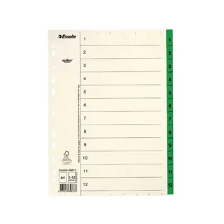 Produktfoto för Esselte Pappregister Servo A4 1-12 grön