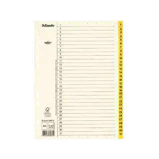 Produktfoto för Esselte Pappregister Servo A4 1-31 gul
