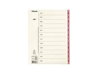Produktfoto för Esselte Pappregister Servo A4 Jan-Dec rosa