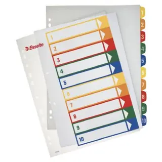 Produktfoto för Esselte Projektregister PP 1-10 A4+ Easyprint