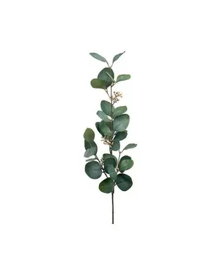 Produktfoto för Eucalyptus snittblomma grön