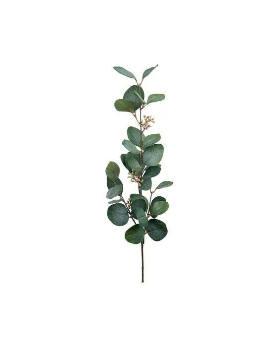 Bild 1 för Eucalyptus snittblomma grön